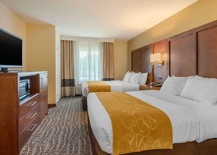 Comfort Suites Lady Lake - The Villages